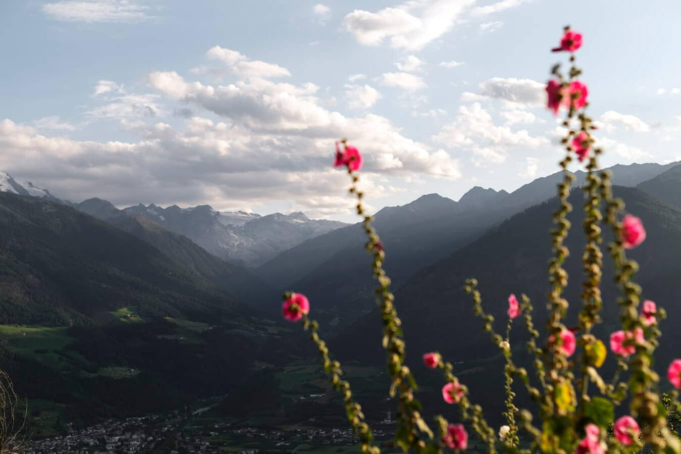 FlowFarm Mairhof, Gschneir 16, Schluderns FlowFarm Mairhof, Gschneir 16, Schluderns, der Hof