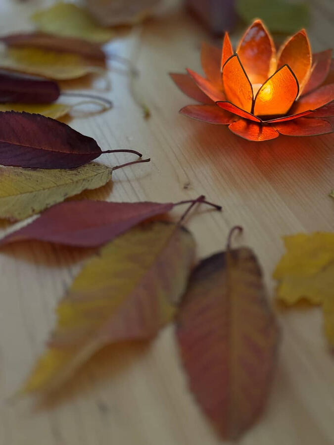Herbstblätter Herbstblätter